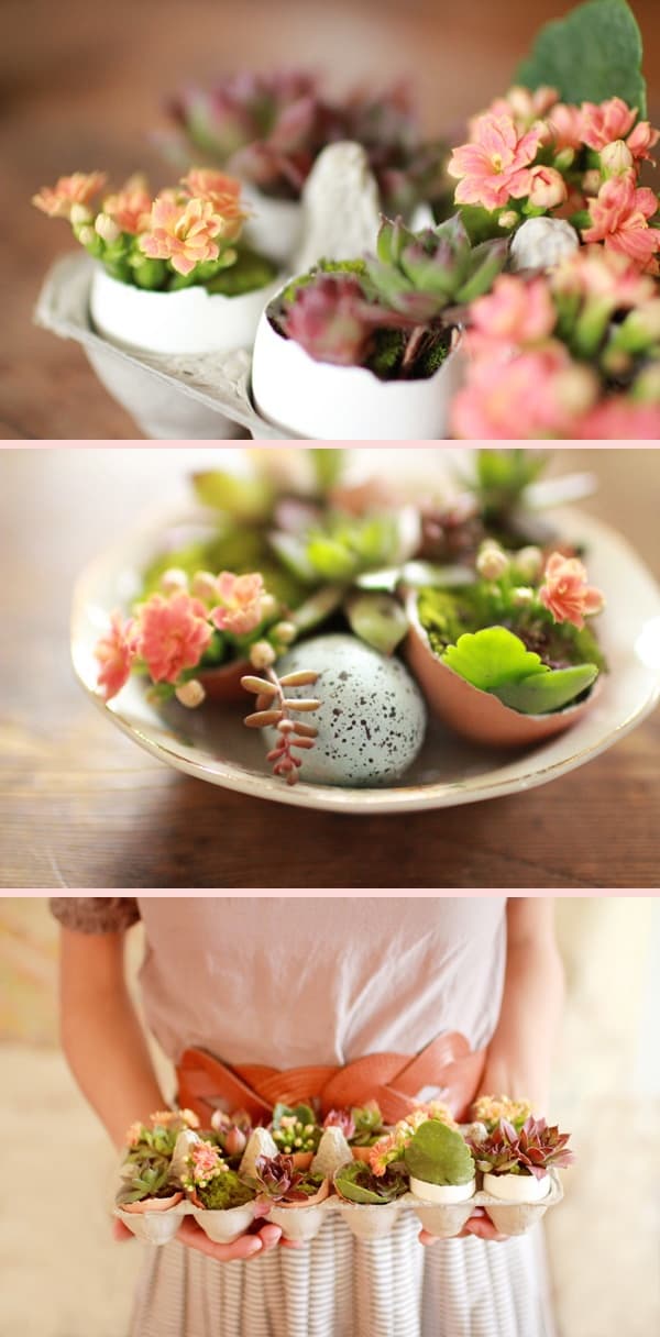 DIY roundup: Easy and Fun Easter Crafts - Egg shell potted plants