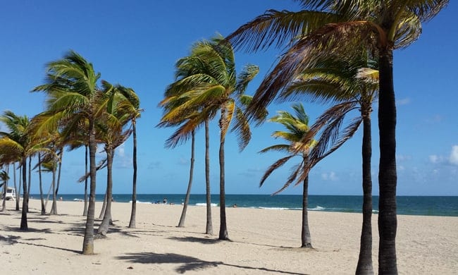 Winter Escape - Fort Lauderdale beach
