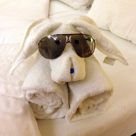 2013CarribeanCruisetowelfriend
