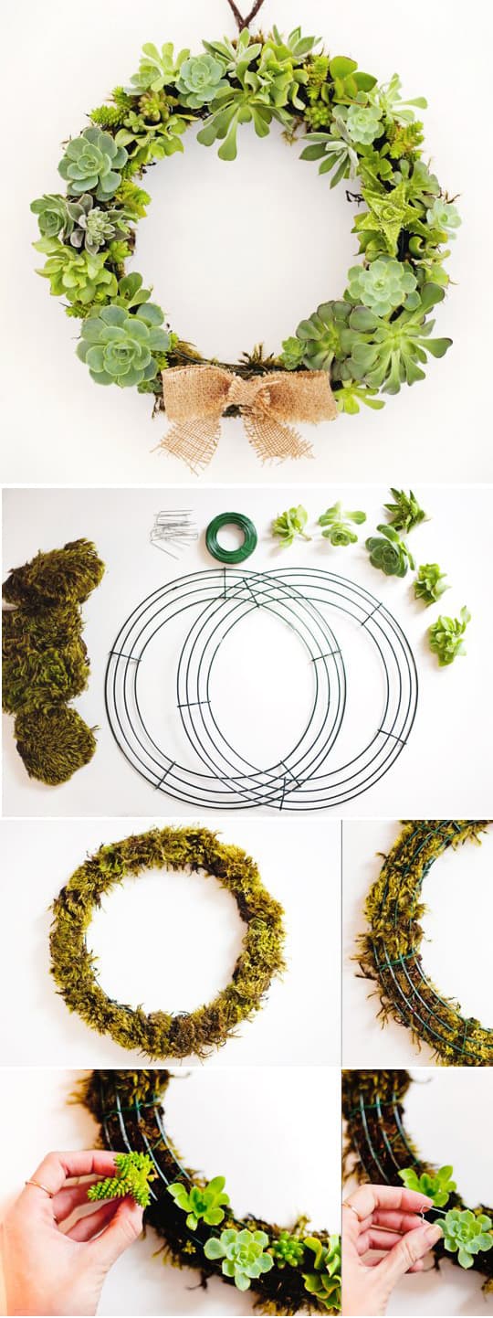 Christmas Wreath Ideas - DIY Succulent Wreath