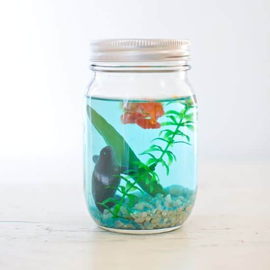 20 Mason Jar Craft Ideas - Mason Jar Aquarium