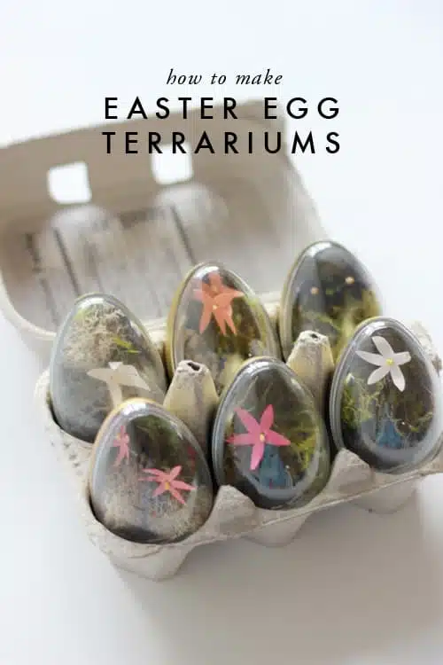 15 Easter Egg Decorating Ideas - DIY Terrarium Eggs