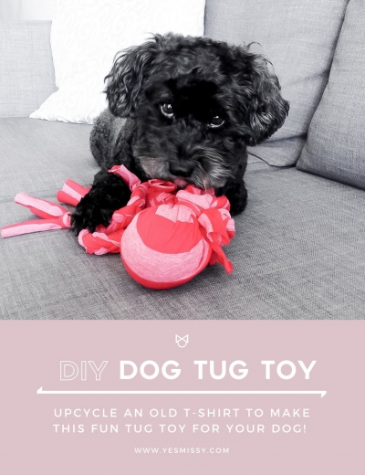 DIY: Dog Tug Toy