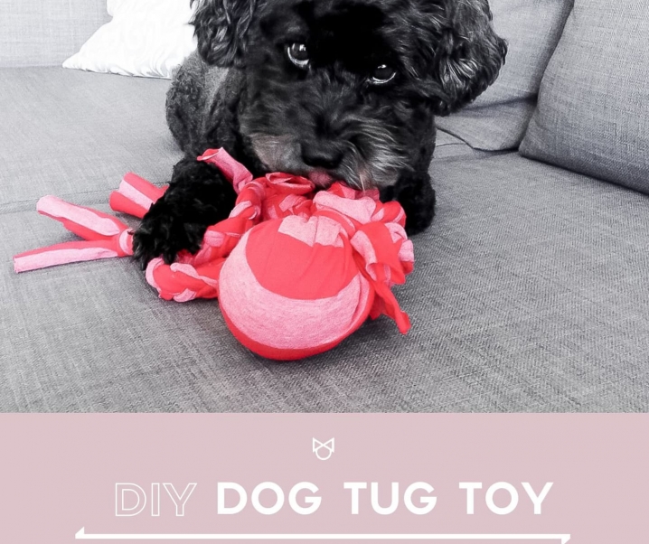 DIY: Dog Tug Toy