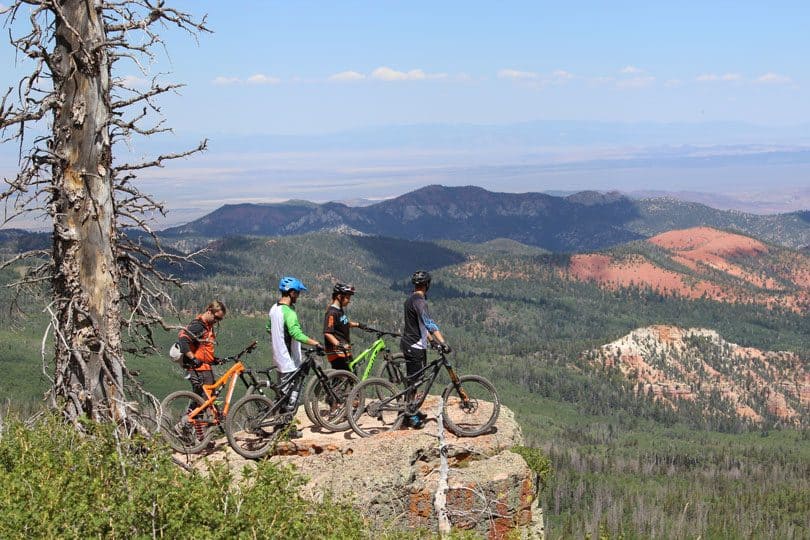 Dixie National Forest stretches for about 170 miles across southern Utah. It includes almost two million acres and is the largest national forest in Utah.