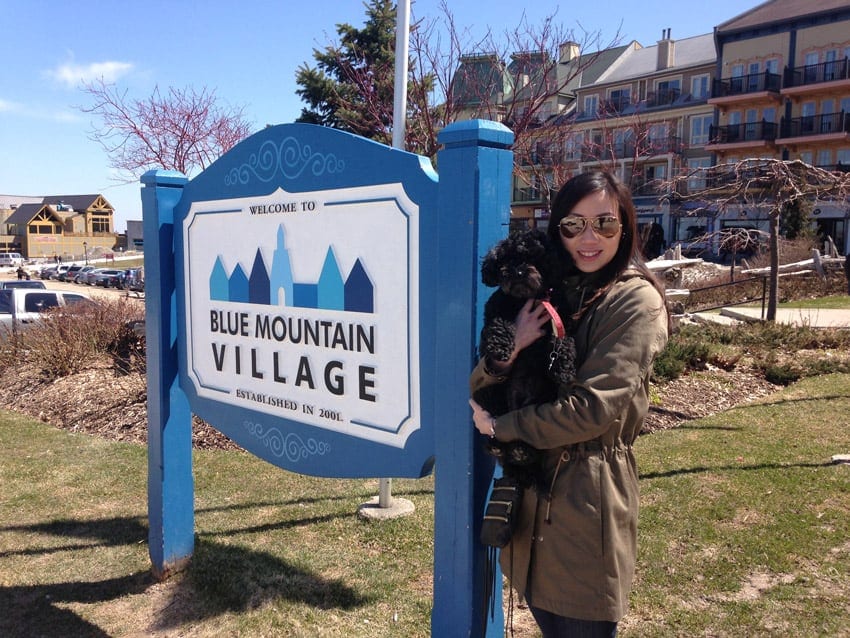 Weekend getaway to Blue Mountain