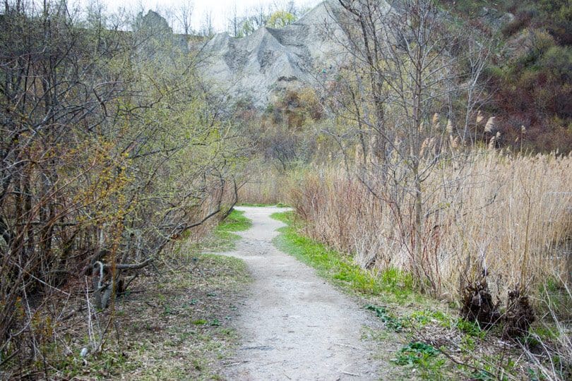 Hiking at the Scarborough Bluffs