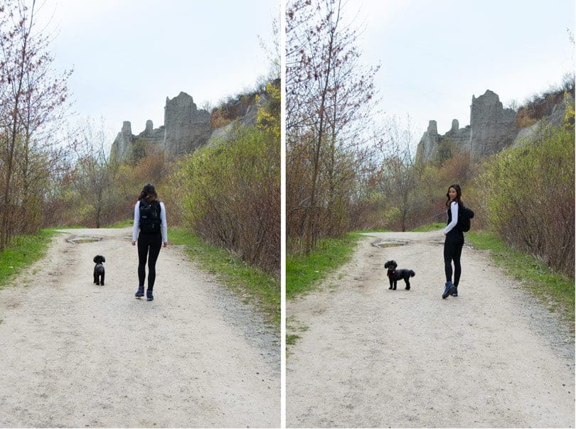 Hiking at the Scarborough Bluffs with my dog
