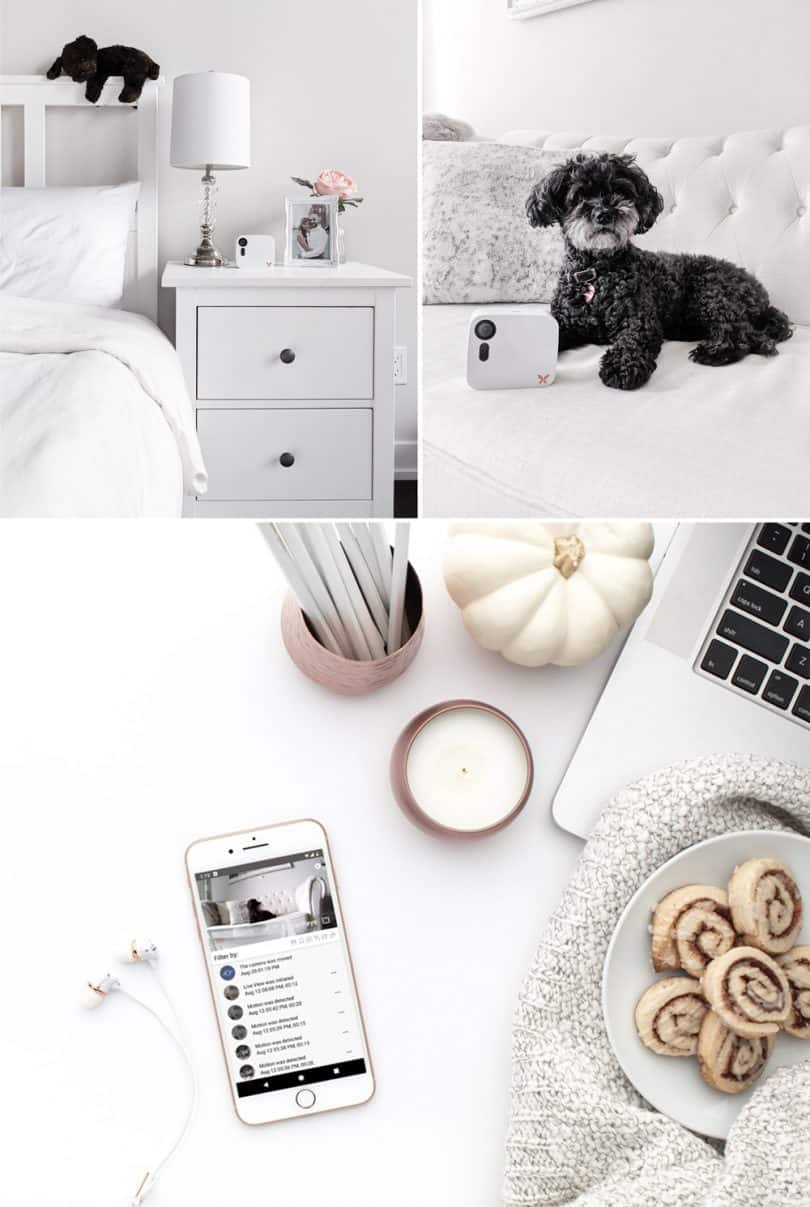 Keeping your home and pets safe is easy with the Ooma Butterfleye smart camera and dog camera..