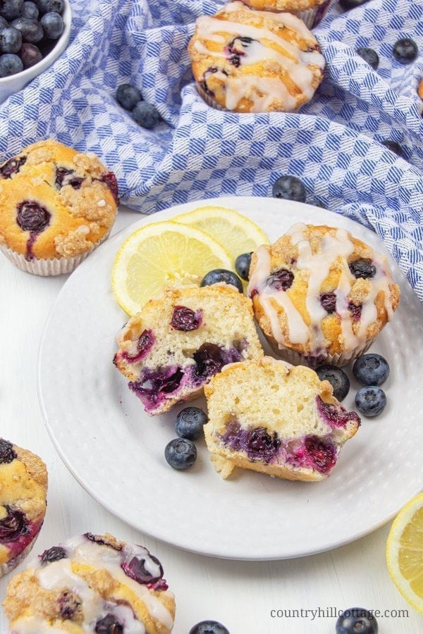 Easy Vegan Breakfast Ideas - Lemon Blueberry Muffin Recipe