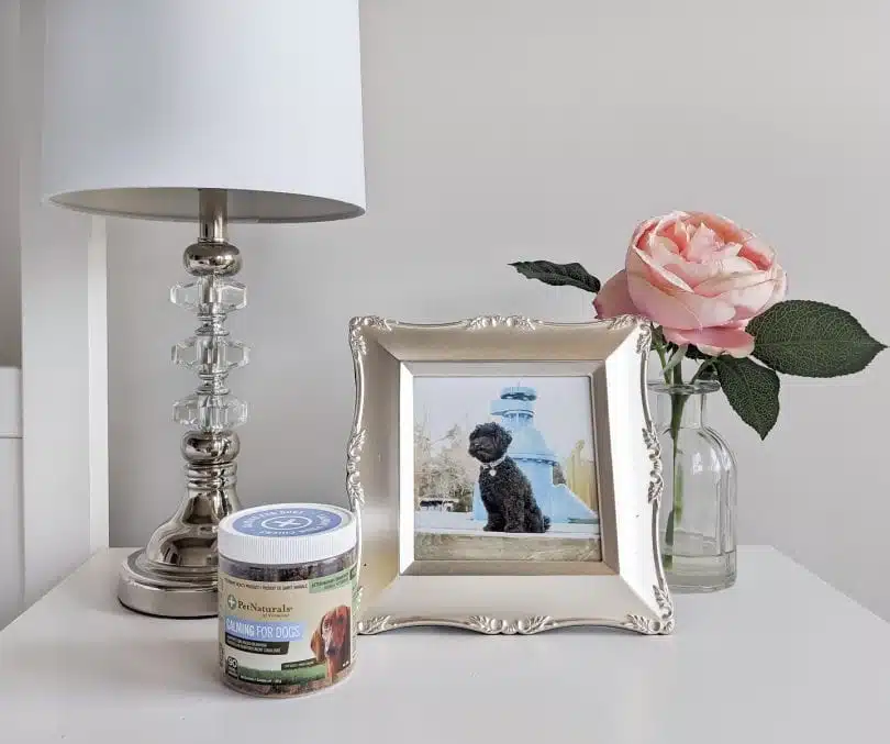 Calming for Dog Chews - Review by YESMISSY