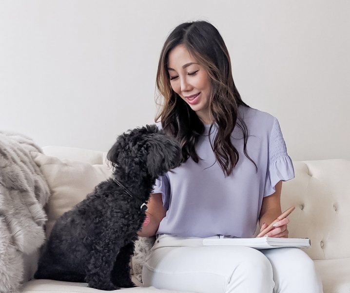 Calming Chews to Manage Stress for Dogs