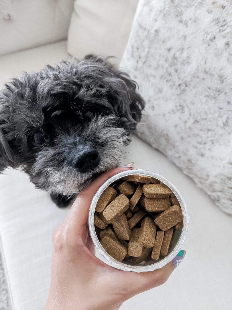 Dog chews for anxiety and stress in dogs by Pet Naturals of Vermont