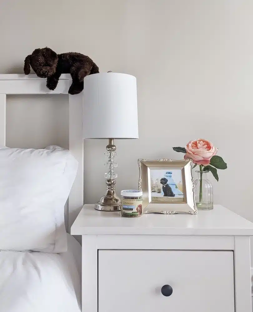 Review: Pet Naturals of Vermont Calming for Dogs 