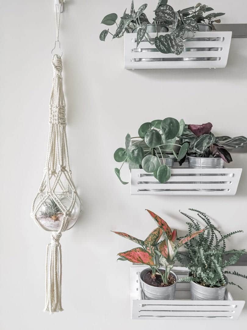 There are so many benefits to caring for plants. Plus it's a great off-screen activity! 