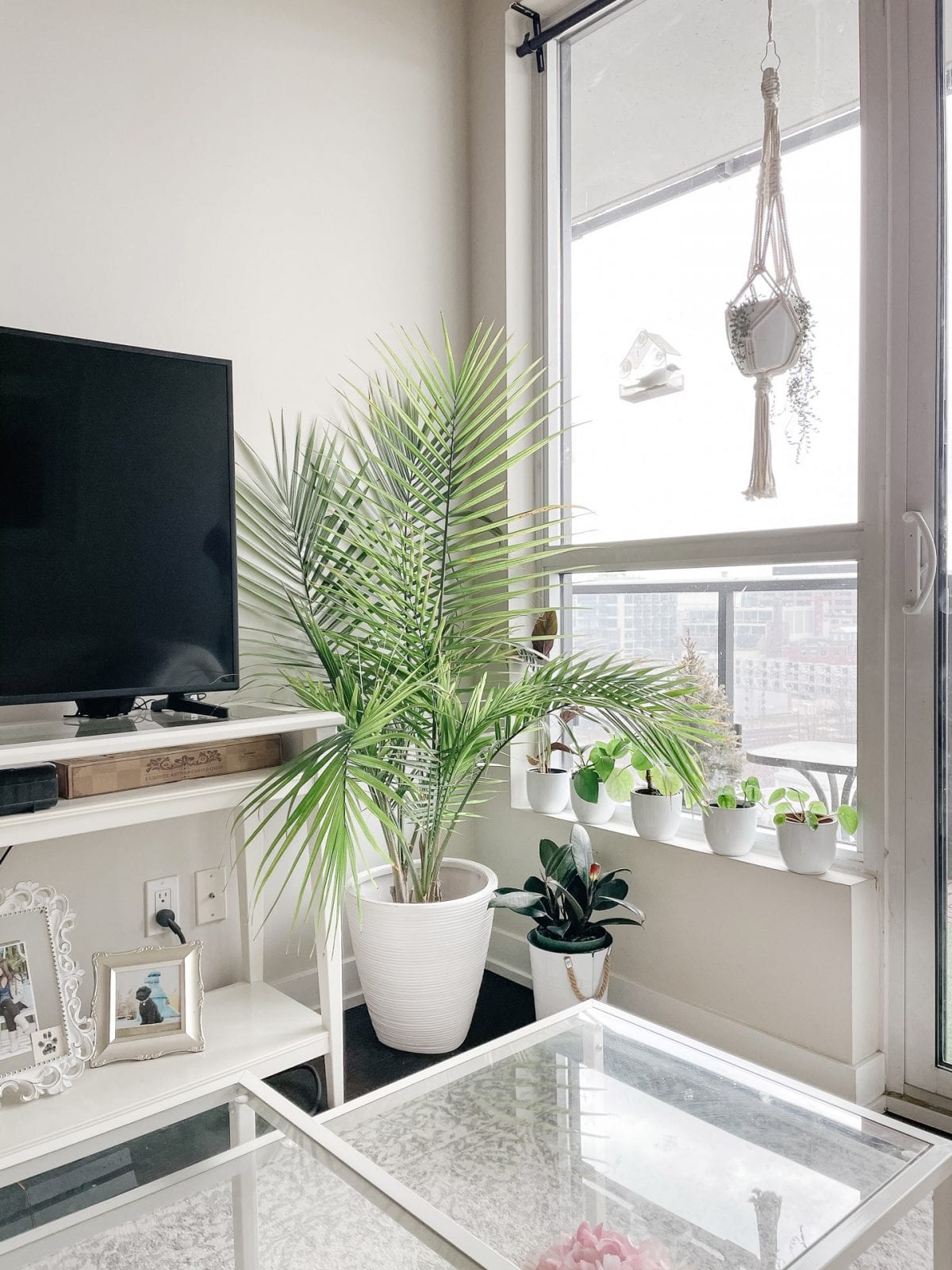Downtown condo - plant corner with macrame hanging planter and potted plants