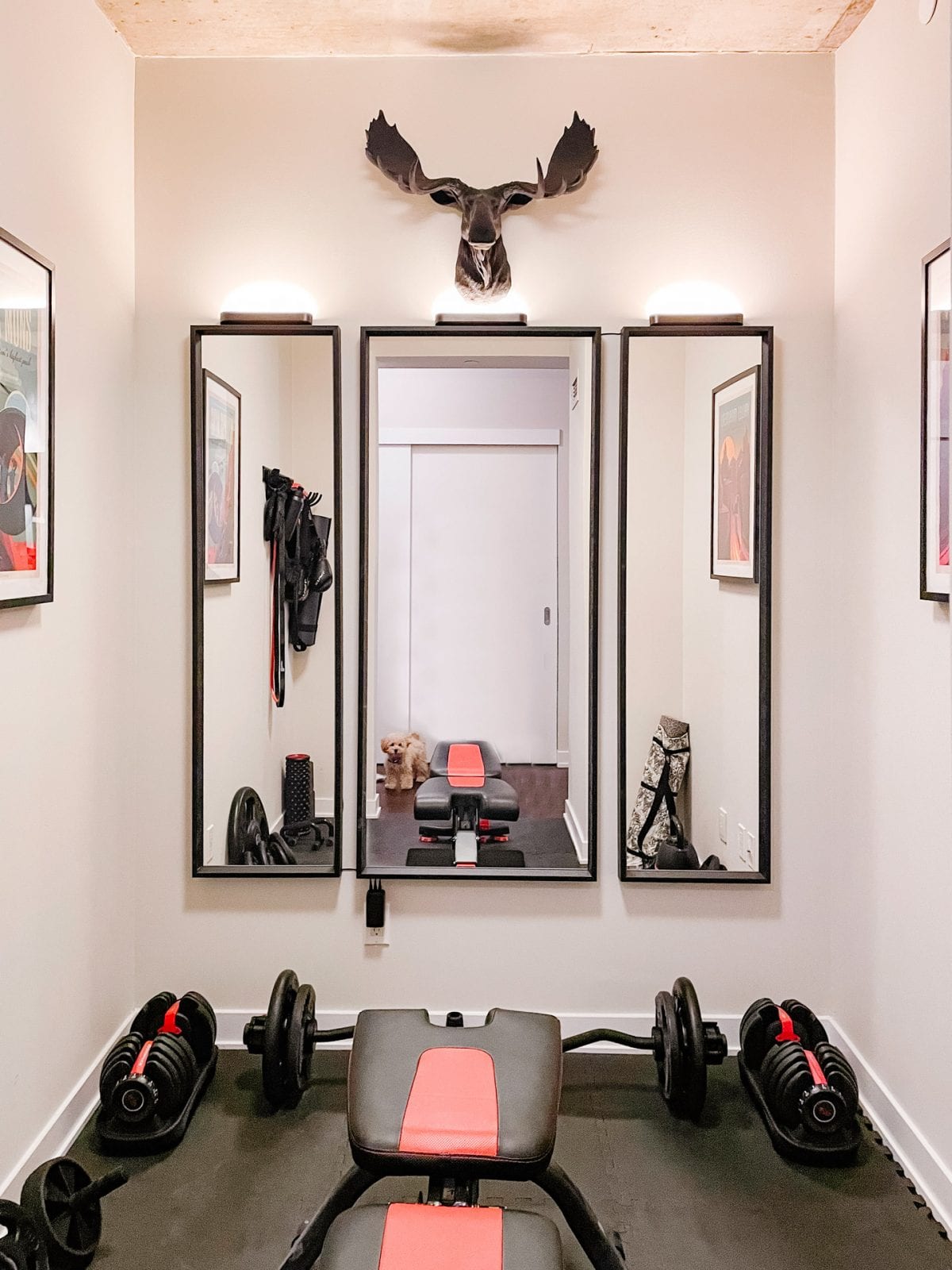 Condo Tour - Den converted into gym