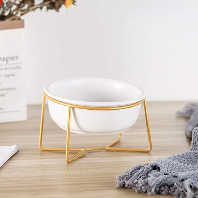 Cute elevated dog water bowl with gold stand