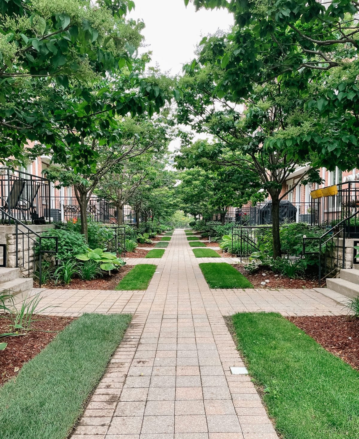 I love the tree lined pathway of our new home