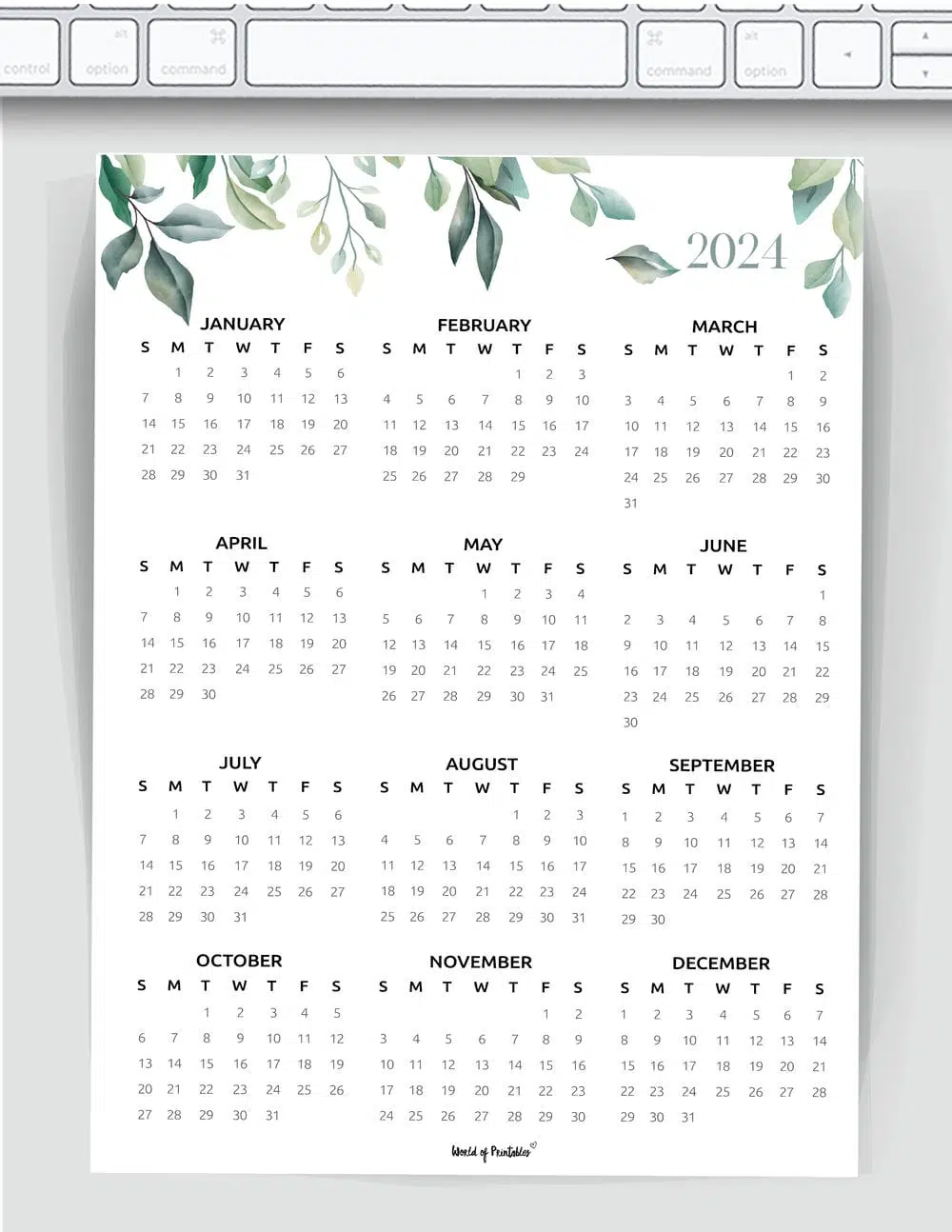 Cute botanical single page 2024 calendar from World of Printables
