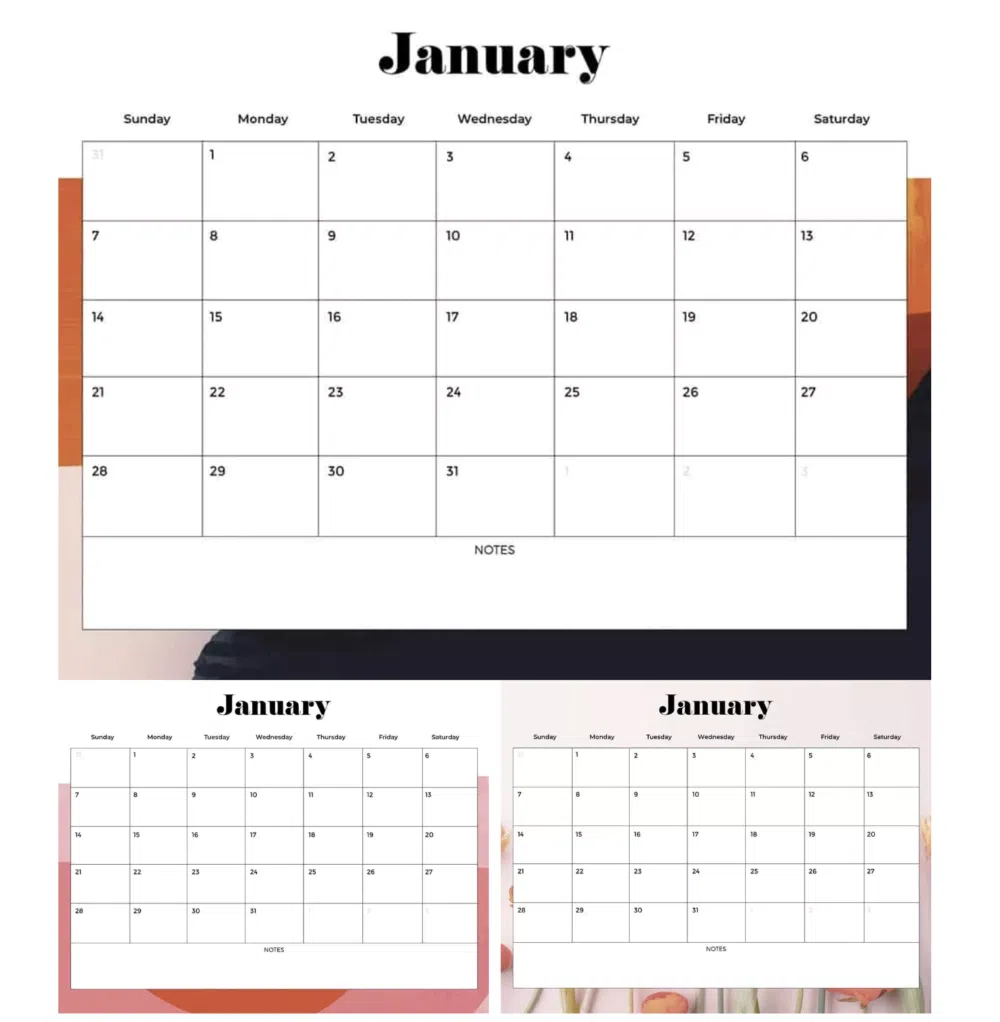 Cute Colorful Monthly Calendars
